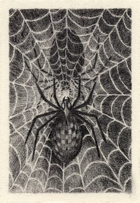 Arachne Anansi Iktomi Spinderella Edderkopp Blyanttegning 50x75mm av Sonja Bunes 1999
